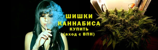 дурь Алзамай
