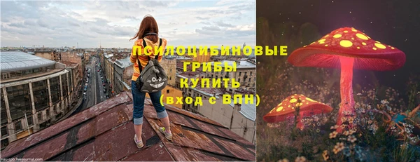 спайс Алексин