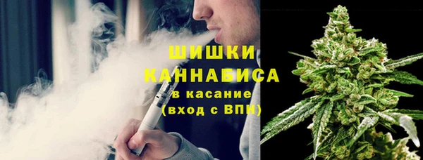 дурь Алзамай