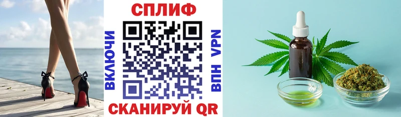 как найти закладки  Боровск  Конопля сатива 